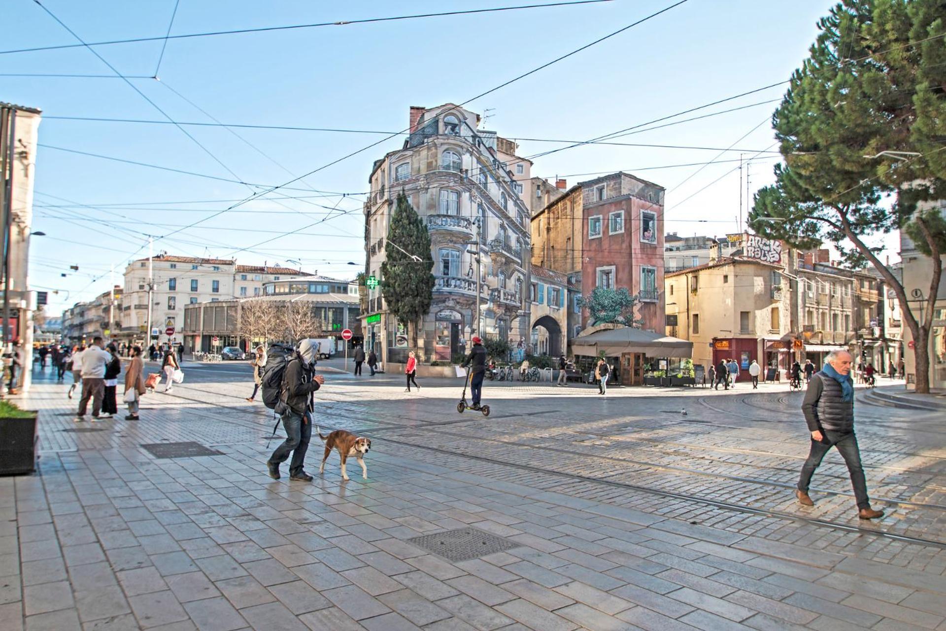 Charmant & Cosy - Centre Historique Ecusson Montpellier Ngoại thất bức ảnh